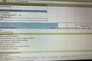 Отчет о доходах и расходах_форма