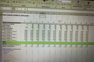 Финансовая модель