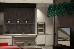 Кухня-гостиная