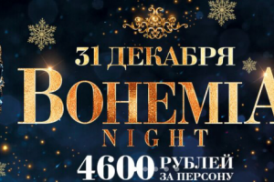 Новогодняя ночь