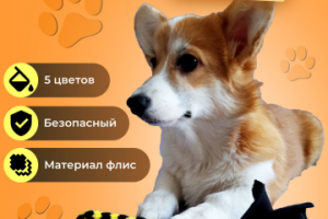 Инфографика для нового товара