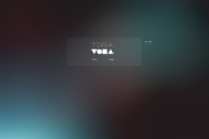 Дизайн сайта тора