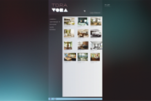 Дизайн сайта тора
