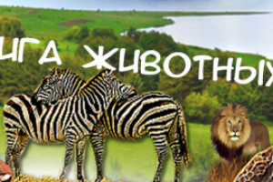 Обложка для группы вк