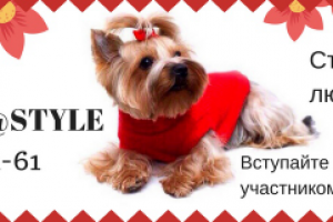 Обложка для группы ВК