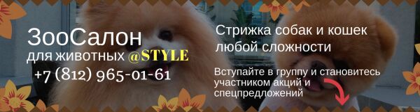 img3501470.png