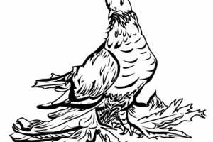 Работа 3476484