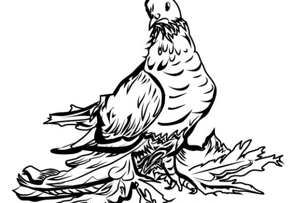 img3476484.png