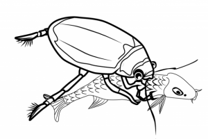 Работа 3476483