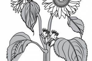 Работа 3476482