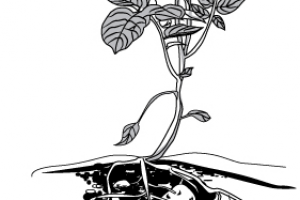 Работа 3476477