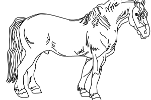 Работа 3476475