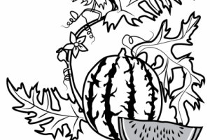 Работа 3476474