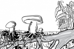 Работа 3476471