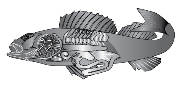 img3476466.png