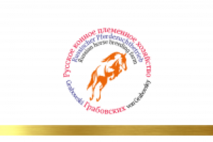 Работа 2933437