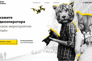 Работа 3804914