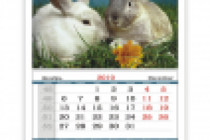 календарь ооо "Талер Пресс" (Новосибирск)