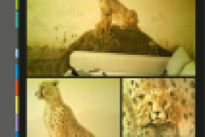 настенная живопись