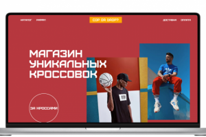 Лендиг Магазин уникальных кроссовок