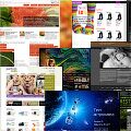 img1646506.png