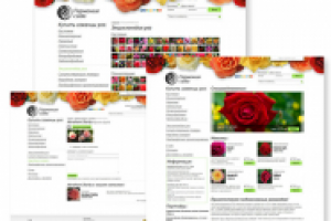 Гармония сада