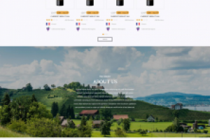 Разработка винного интернет-магазина под ключ