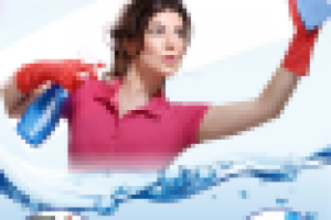 Работа 2749897