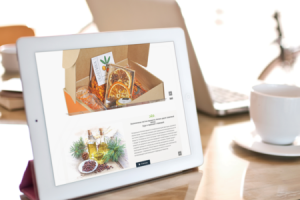 ЭкоФазенда