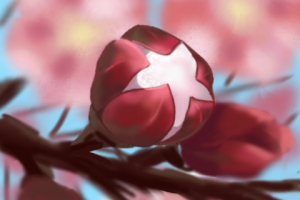 Ветка сакуры