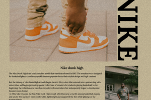 Баннер nike dunk high