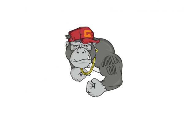 img3218518.png