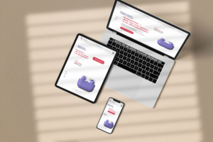 Студия кастомизации Customizer
