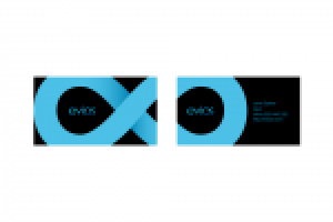 Визитные карточки для Evlos