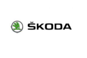SEO-продвижение сайта официального дилера SKODA в Красноярске