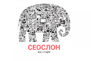 Продвижение веб-студии Сеослон в Инстаграм