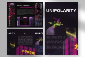 Буклет "UNIPOLARITY"