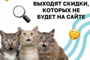 Пост-реклама Телеграмм канала