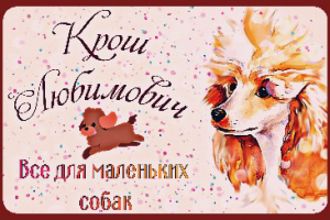 Баннер зоомагазина