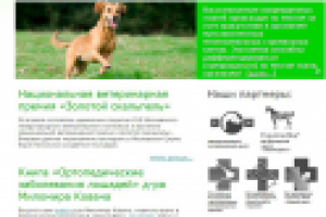 Сайт ветеринарного центра