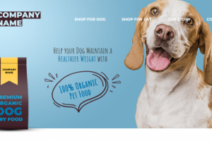 Верстка сайта зоомагазина