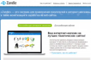 Ускоритель онлайн продаж Zandle