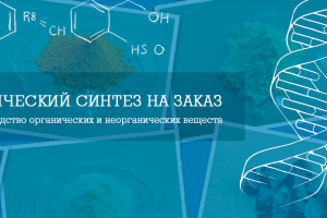 Работа 3143283