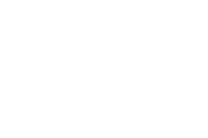 Работа 3143306