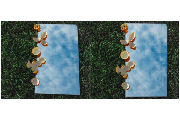 img4482860.png
