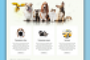 Зоогостиница