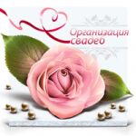 img1677682.png