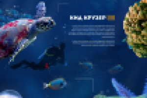 Работа 3607991