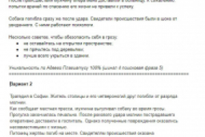 Варианты рерайта одного текста