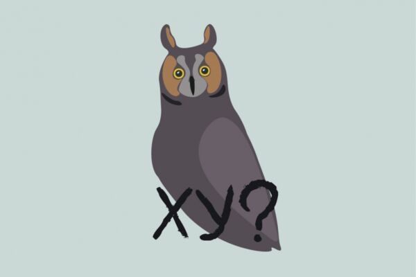 img4592494.png